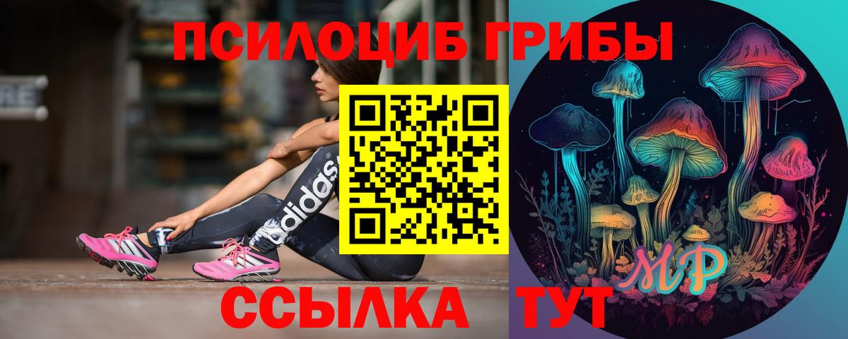Галлюциногенные грибы Psilocybe Медногорск